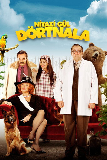 Niyazi Gül: Dörtnala