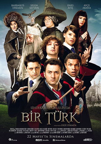 Wizard School