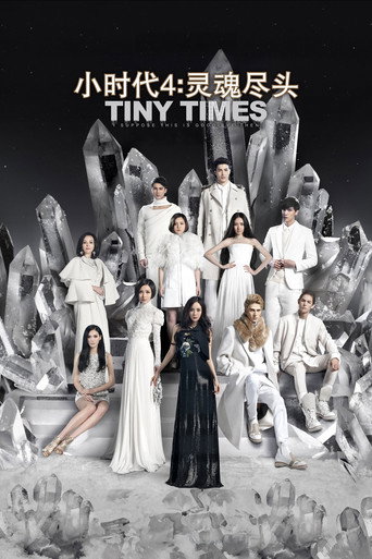 Tiny Times 4.0
