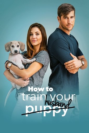 How to Train Your Husband or (How to Pick Your Second Husband First)